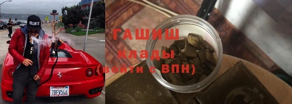шишки Сатка