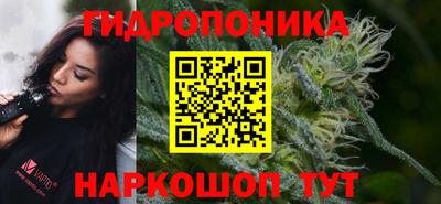 a pvp Апшеронск