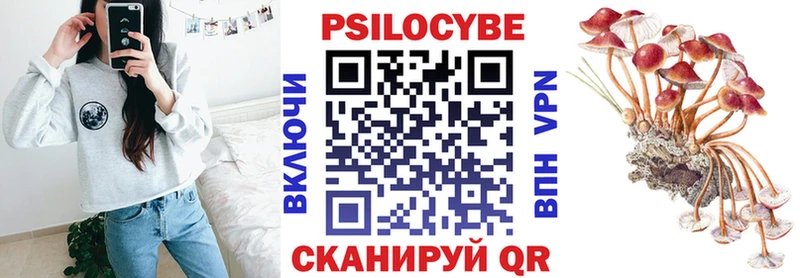 где можно купить Котовск Галлюциногенные грибы GOLDEN TEACHER