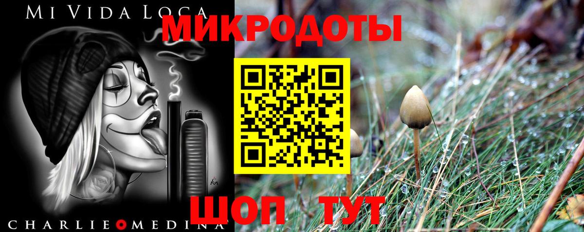 Котовск  Псилоцибиновые грибы Psilocybe  Вход с VPN  Псилоцибиновые грибы мицелий 