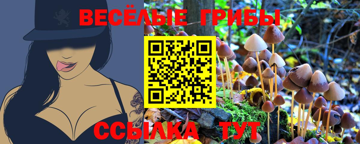 Псилоцибиновые грибы Psilocybine cubensis  Котовск 